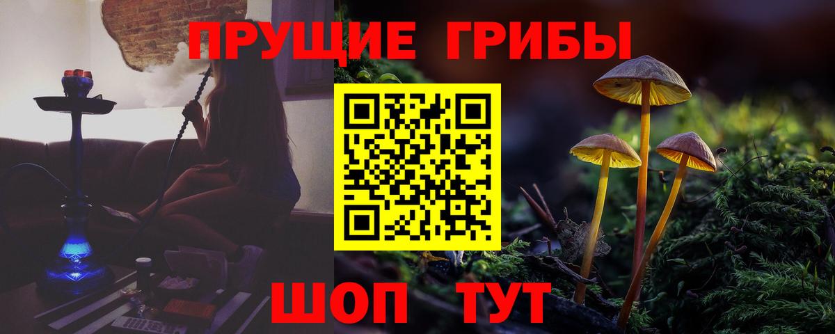 Дагестанские Огни  Псилоцибиновые грибы мухоморы  Вход с VPN 